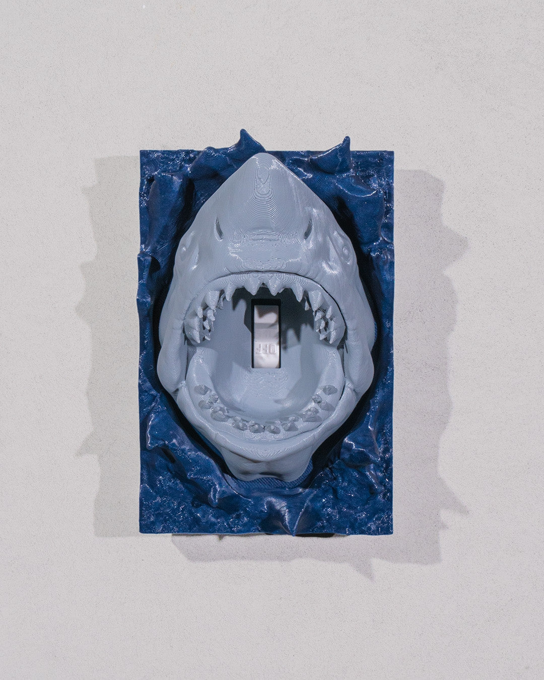 Wall switch covers