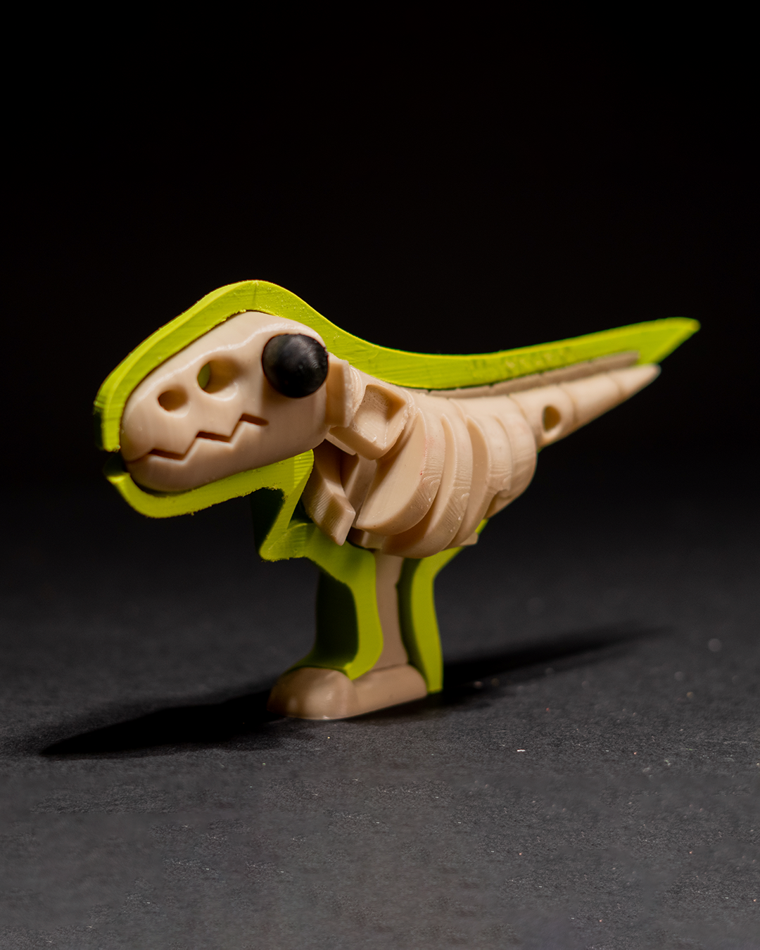 T_Rex_Puzzle