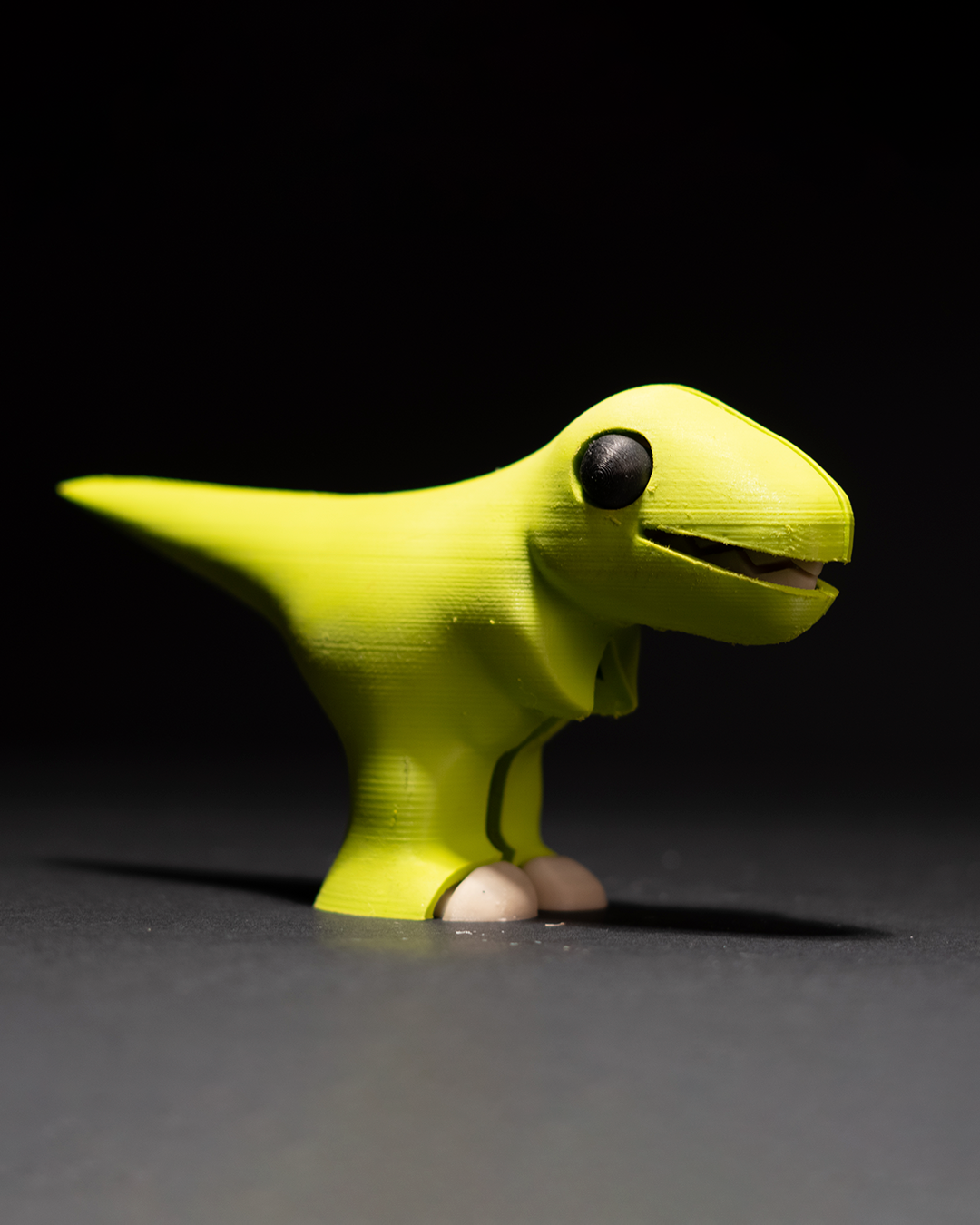 T_Rex_Puzzle