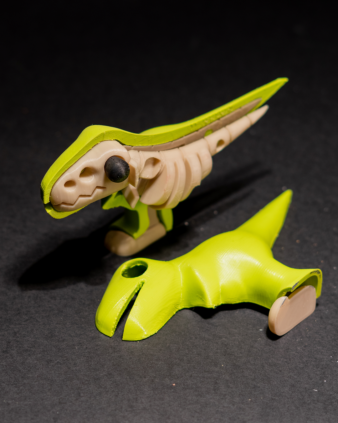 T_Rex_Puzzle