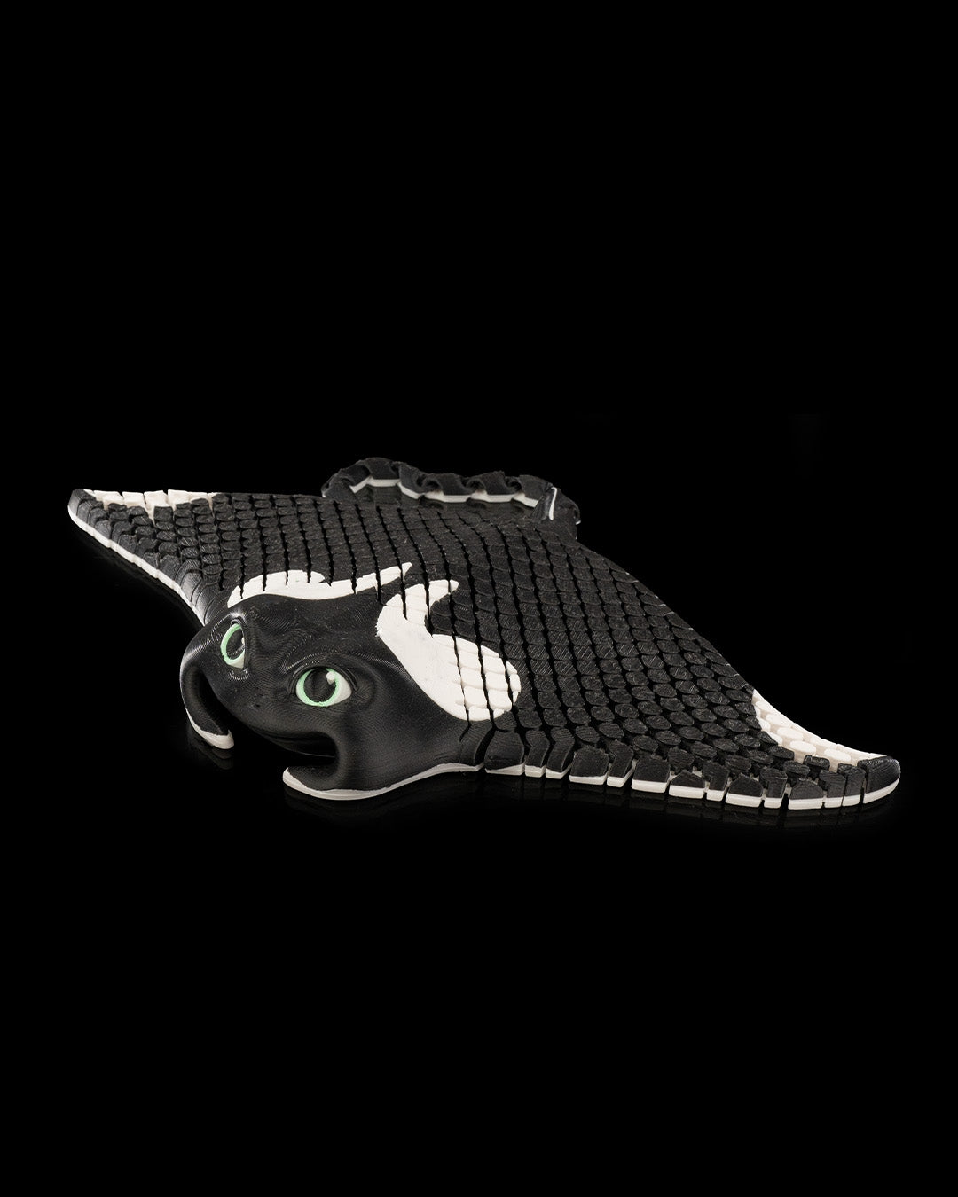 Manny the manta ray