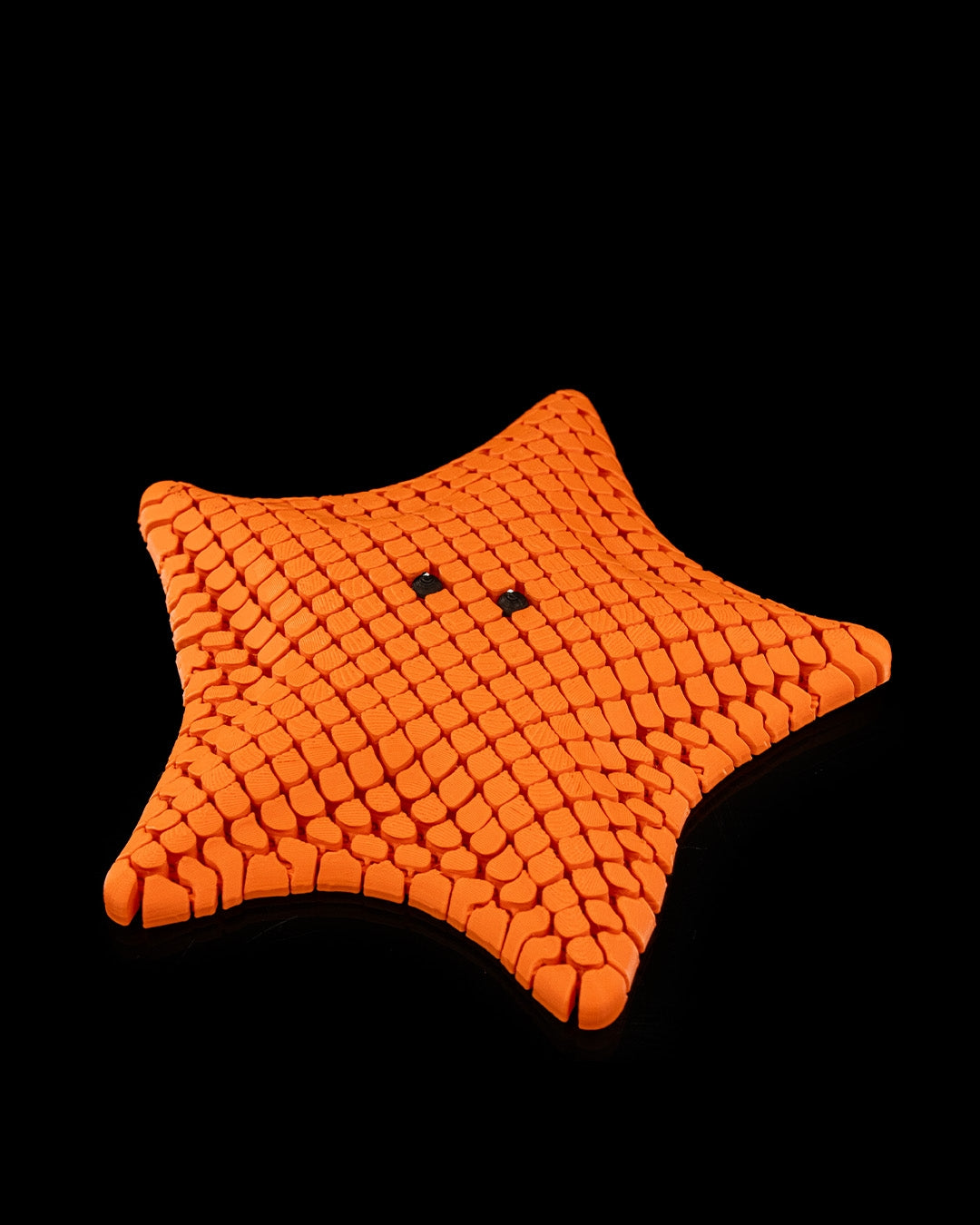 Betsi the bat star fish
