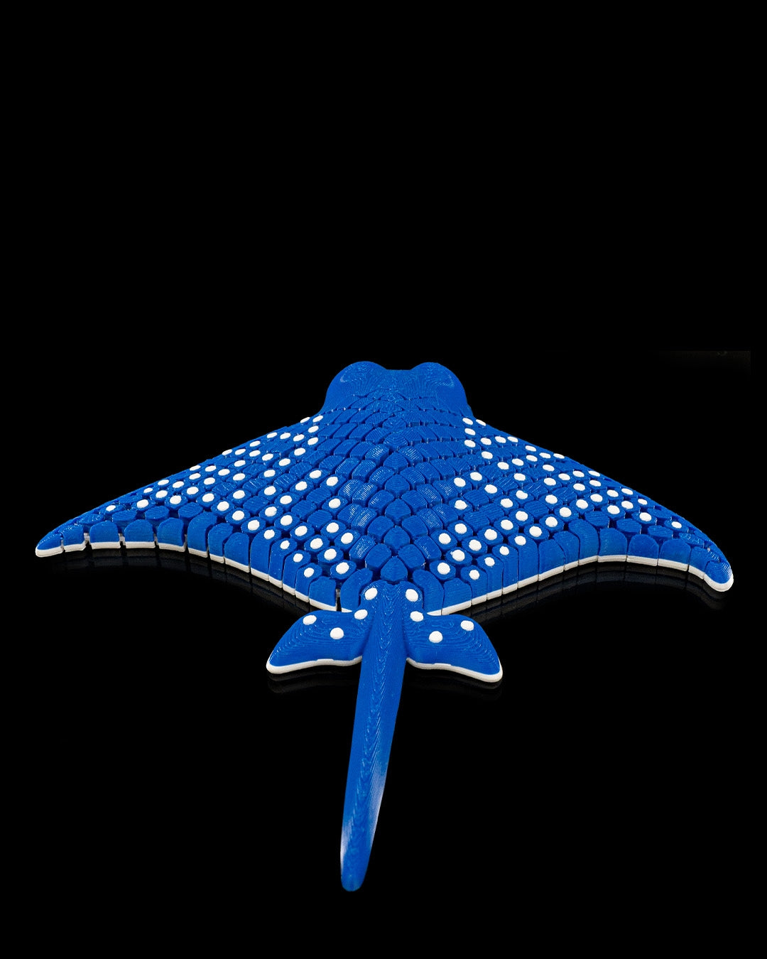 Spotted eagle ray
