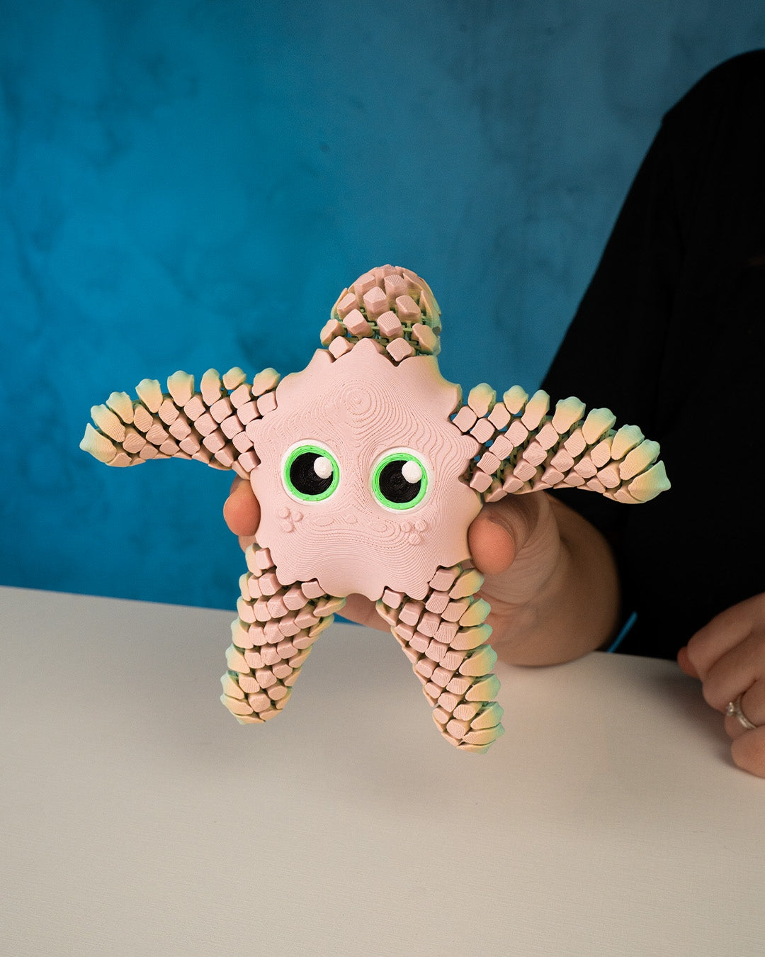 Sandy the sea star