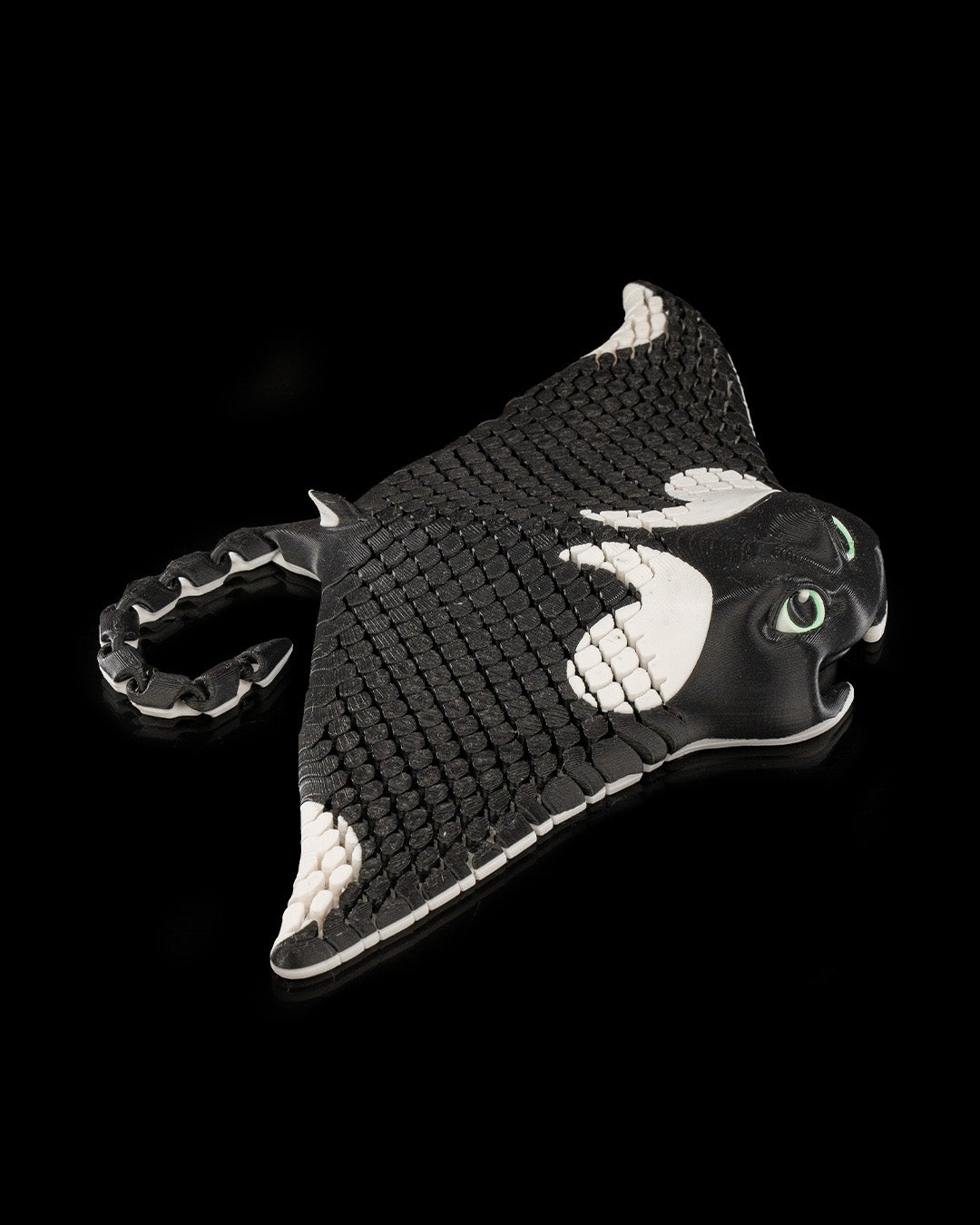 Manny the manta ray