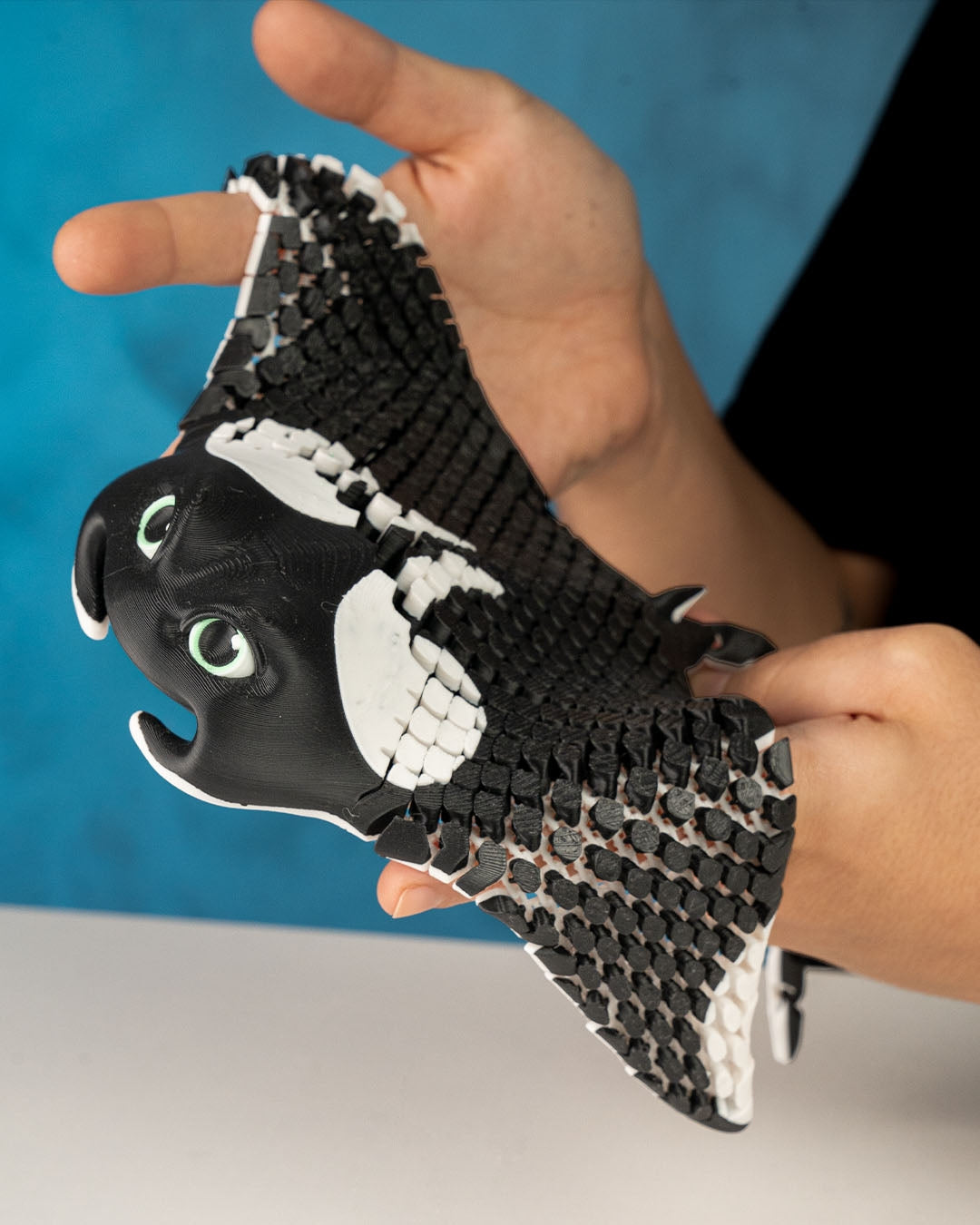 Manny the manta ray