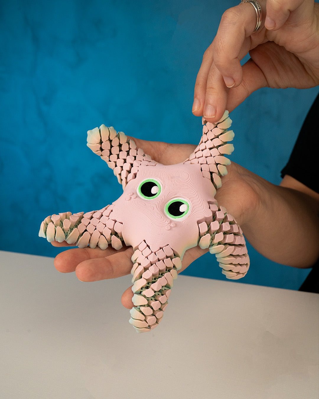 Sandy the sea star