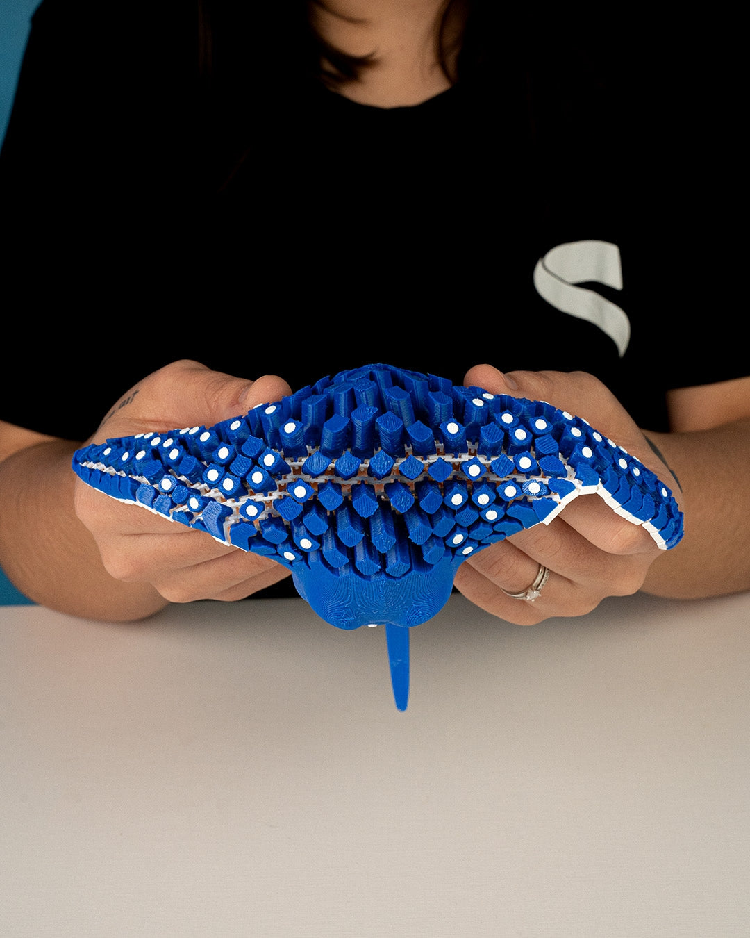 Spotted eagle ray
