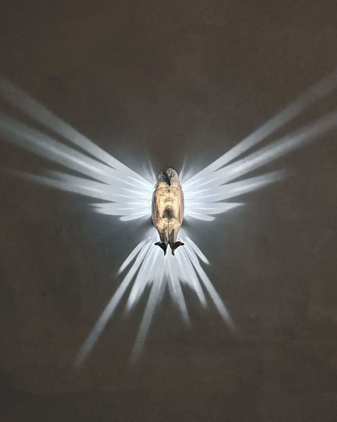 Bald eagle wall light