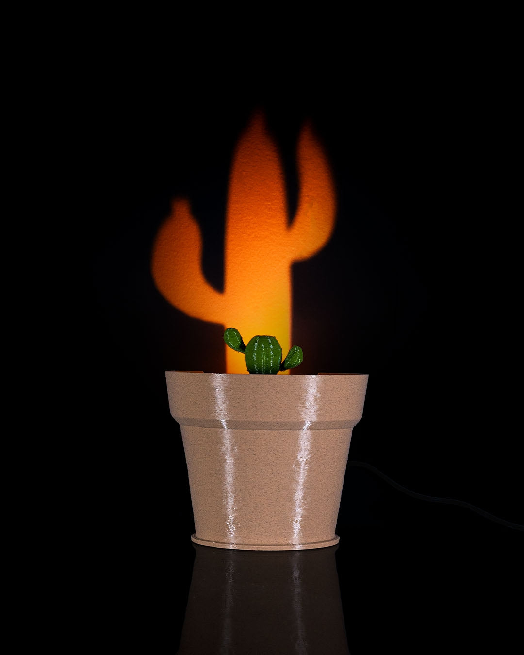 Cactus wall light