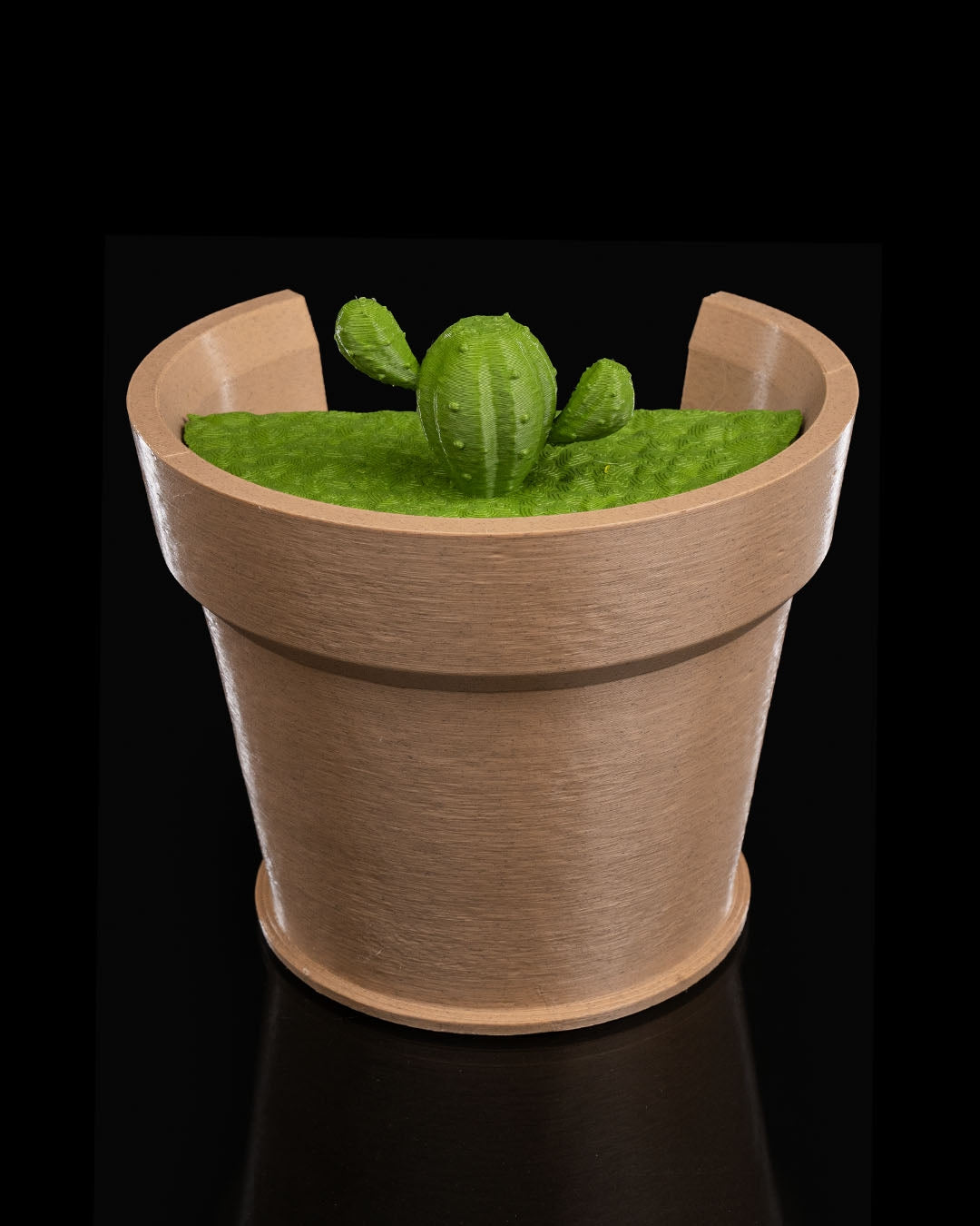 Cactus wall light