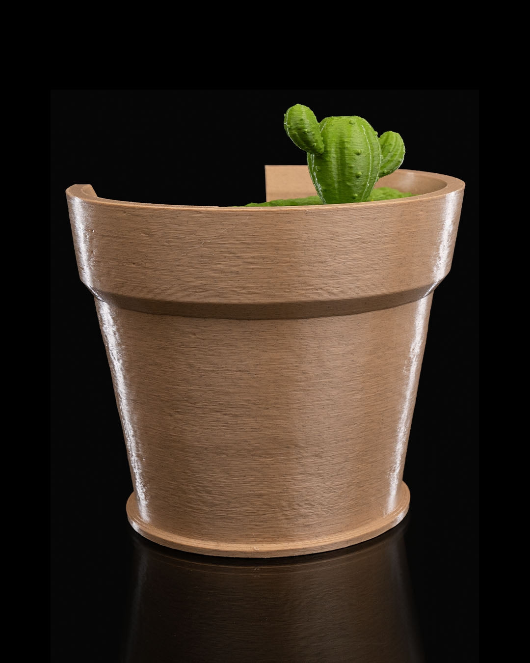 Cactus wall light