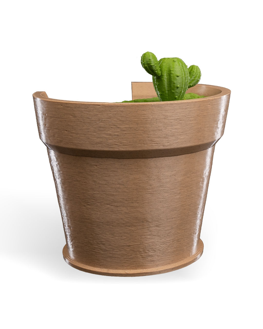 Cactus wall light