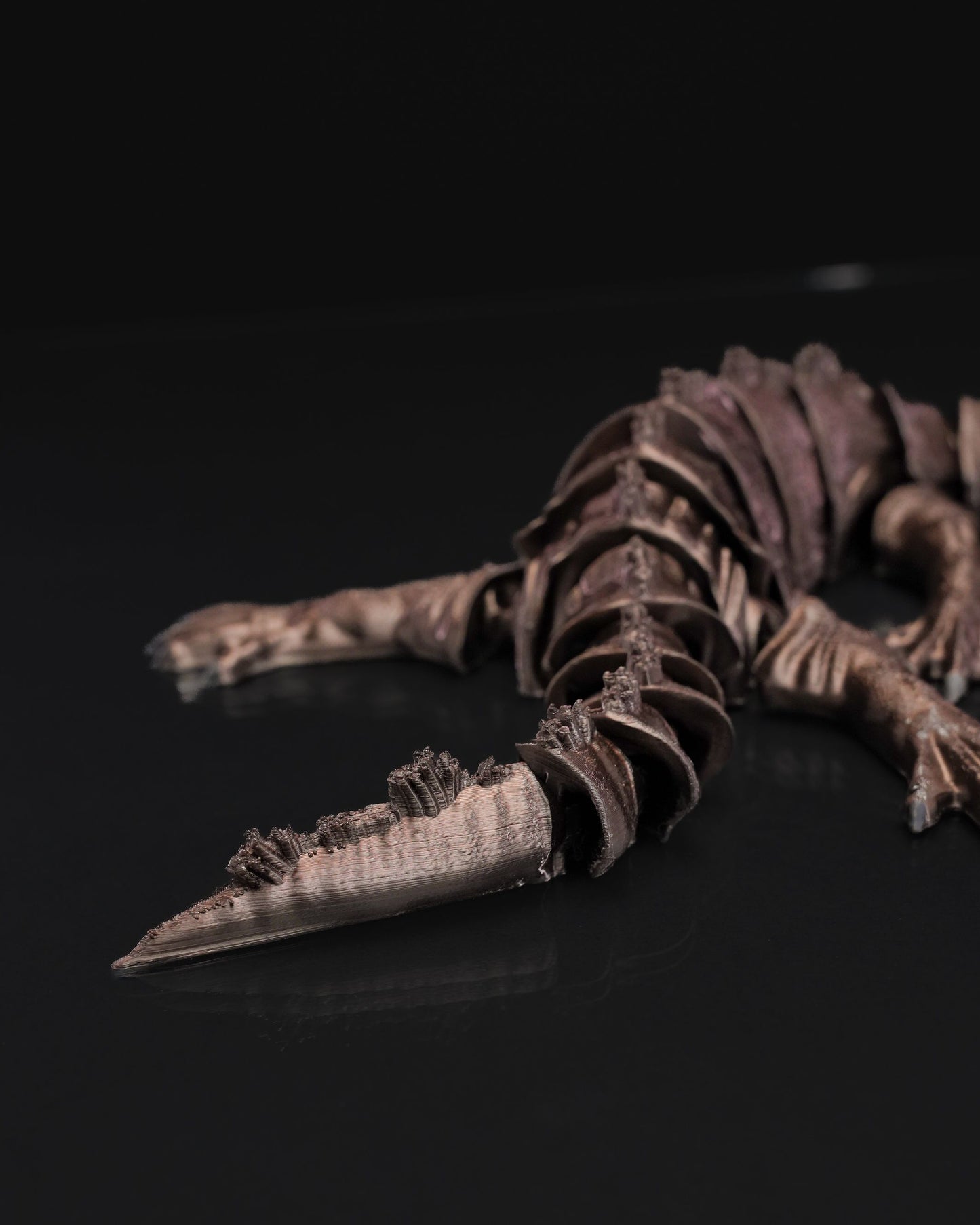 Articulated_Nothosaurus