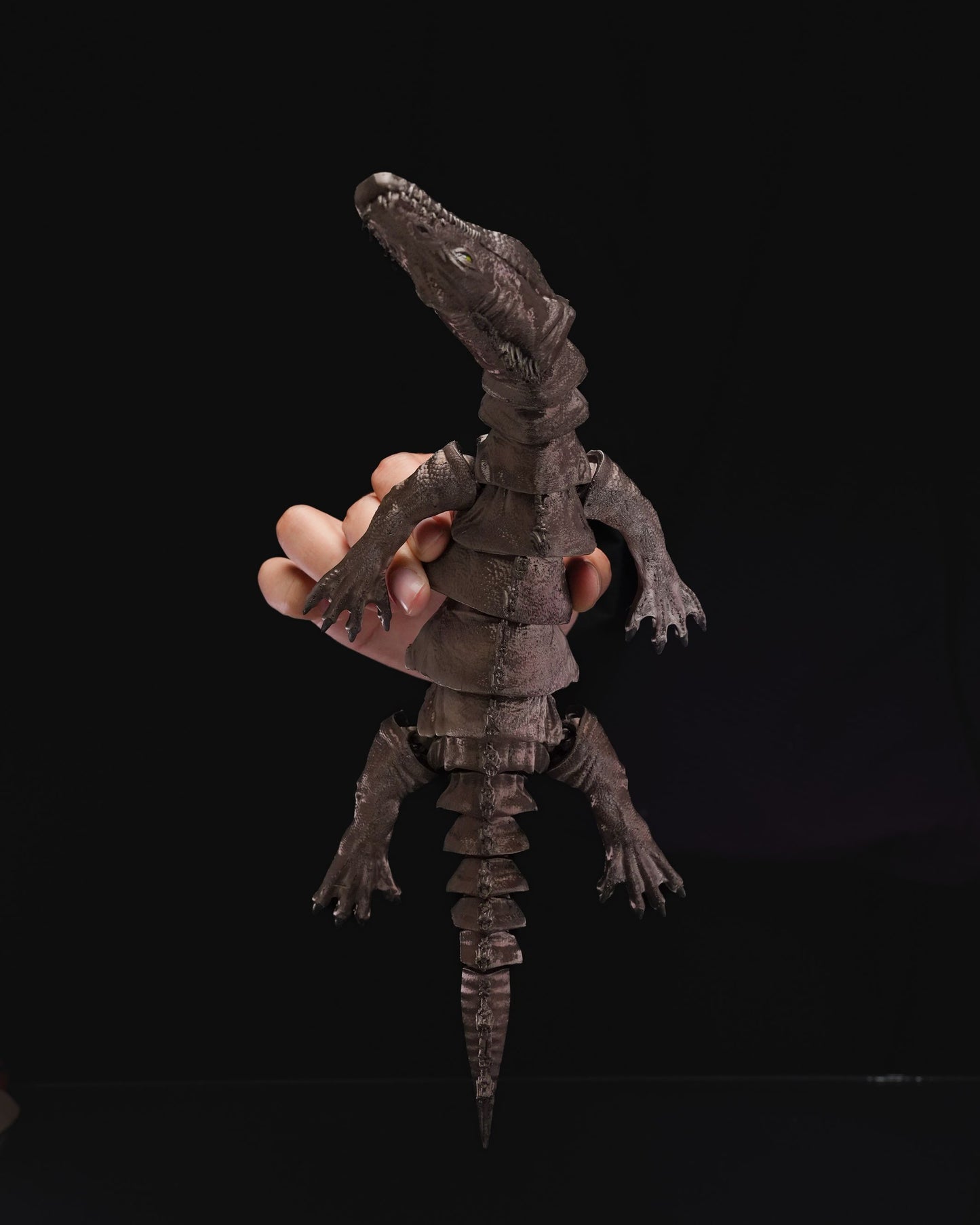 Articulated_Nothosaurus