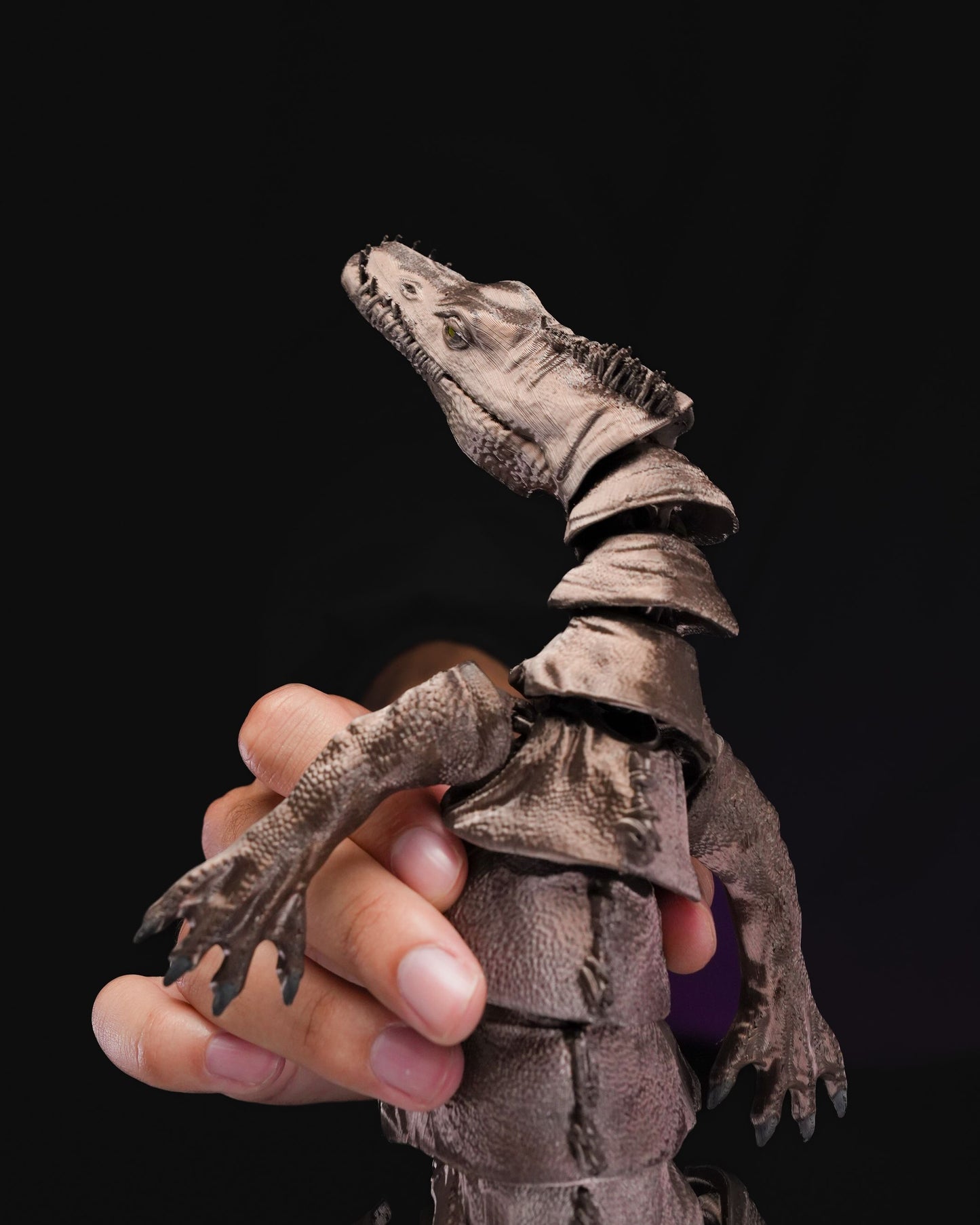Articulated_Nothosaurus