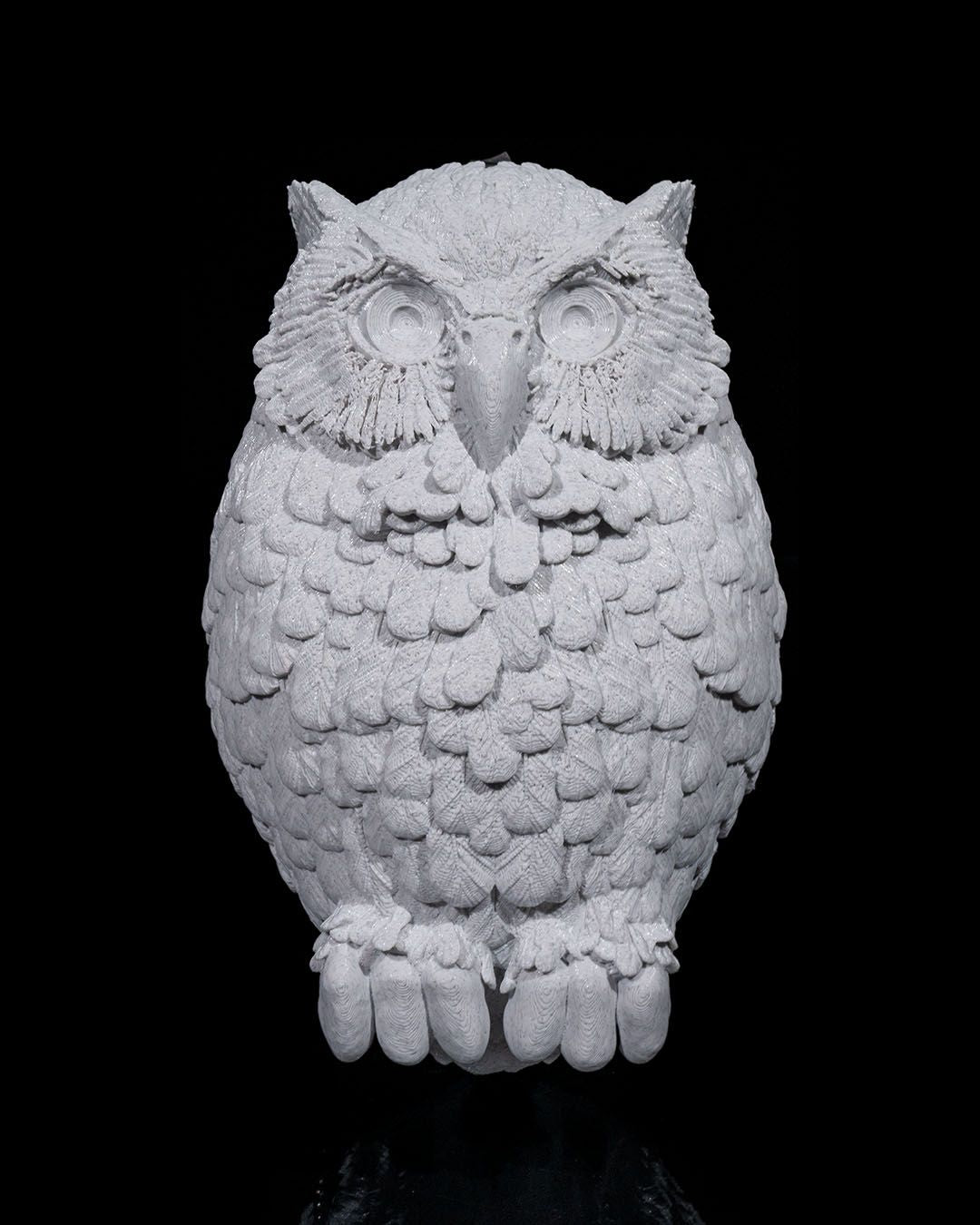 Day owl wall light