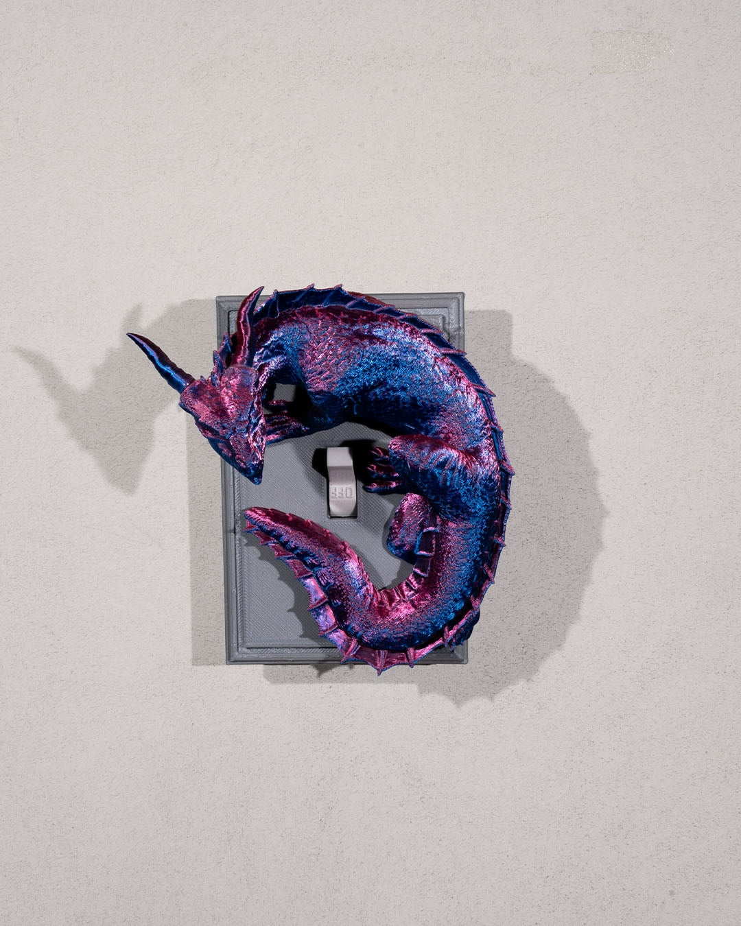 Dragon warden light switch