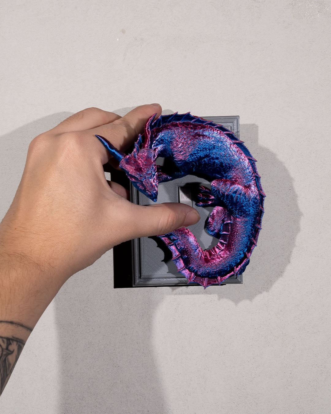 Dragon warden light switch