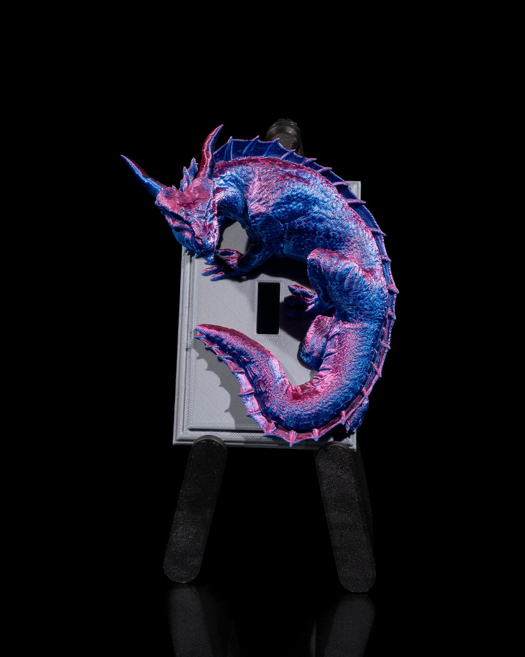 Dragon warden light switch