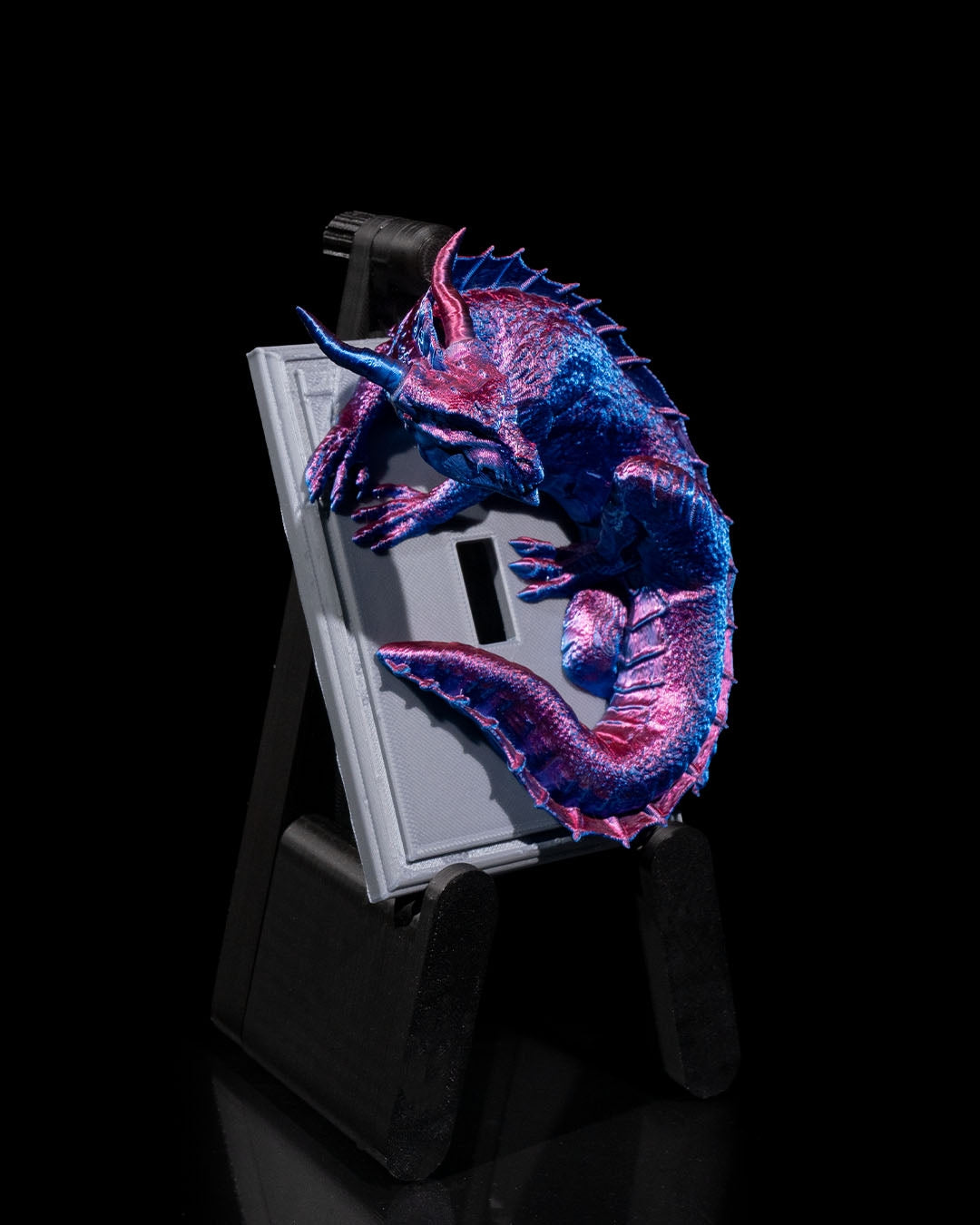 Dragon warden light switch