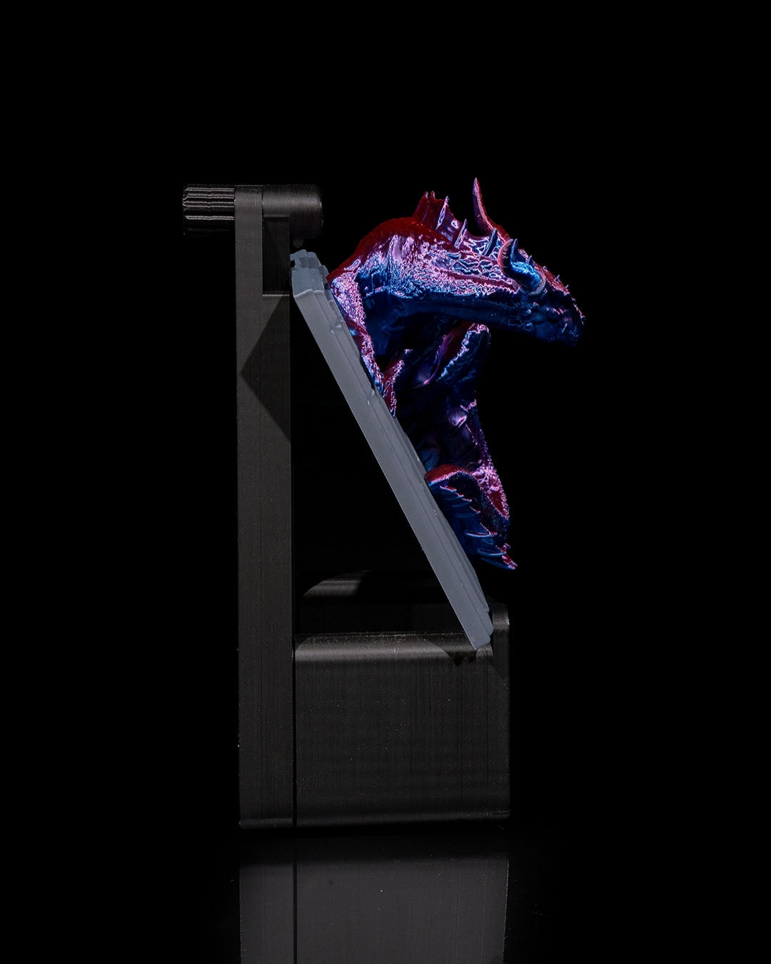 Dragon warden light switch