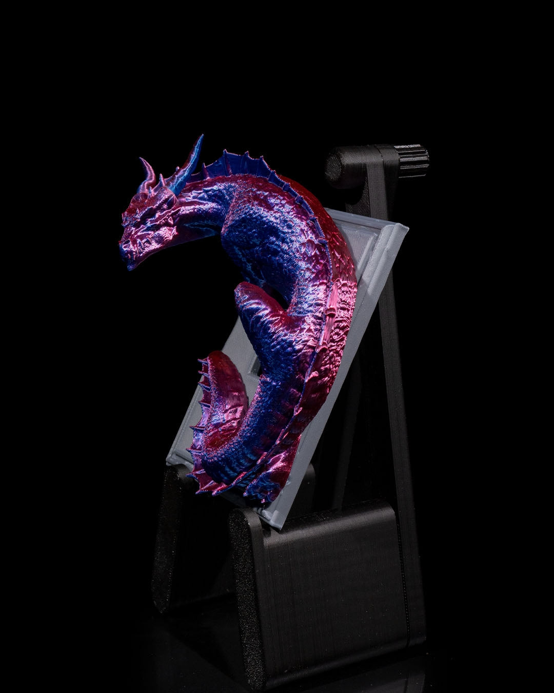 Dragon warden light switch