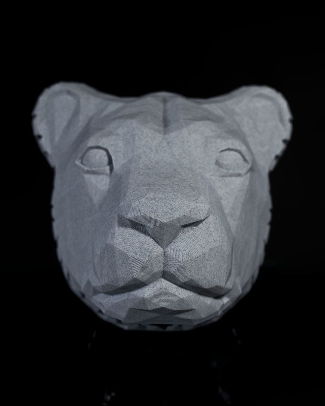 Great lion wall light