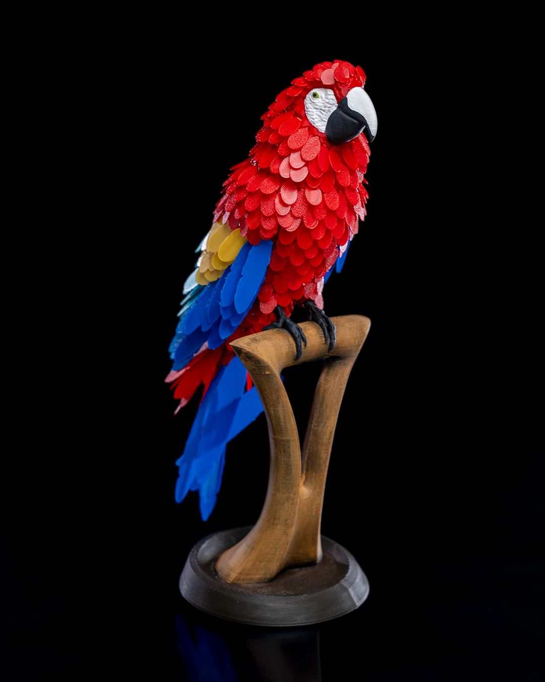 STL Macaw Feather Puzzle