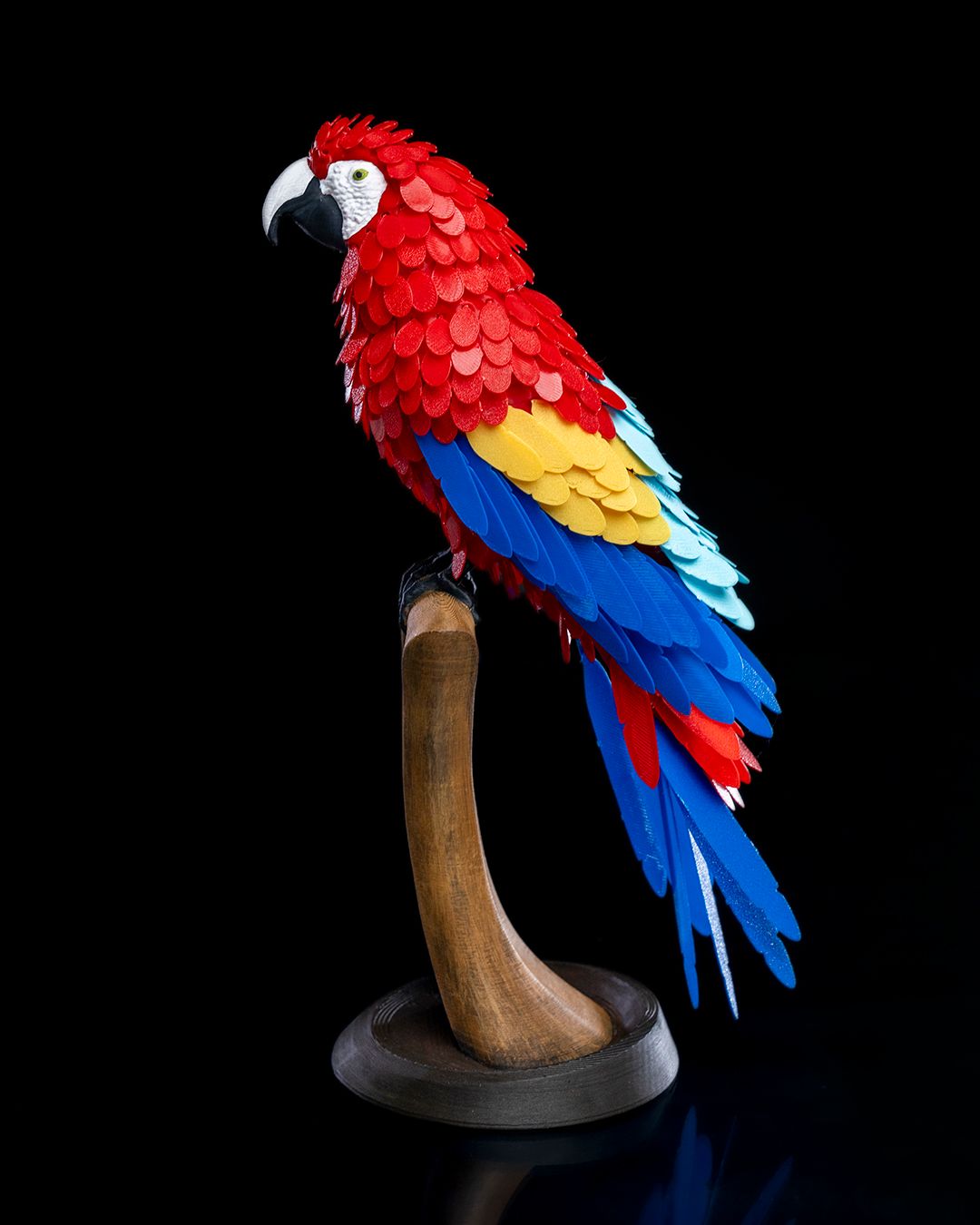 Macaw Feather Puzzle