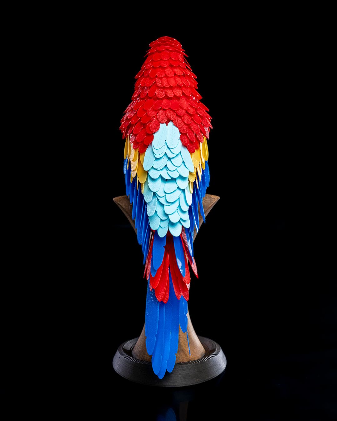 Macaw Feather Puzzle