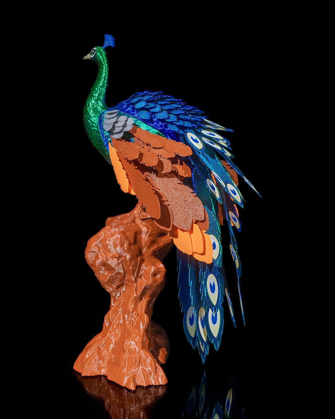 Mayura_the_Peafowl