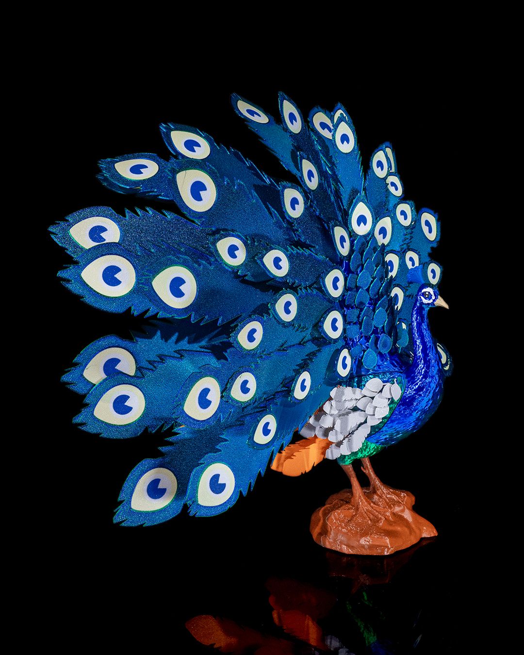 Mayura_the_Peafowl
