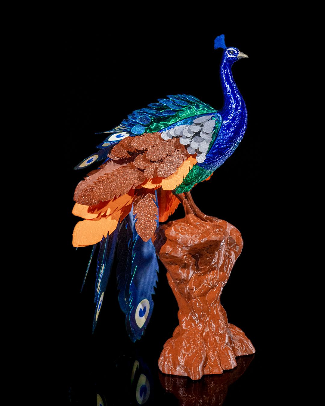 Mayura_the_Peafowl