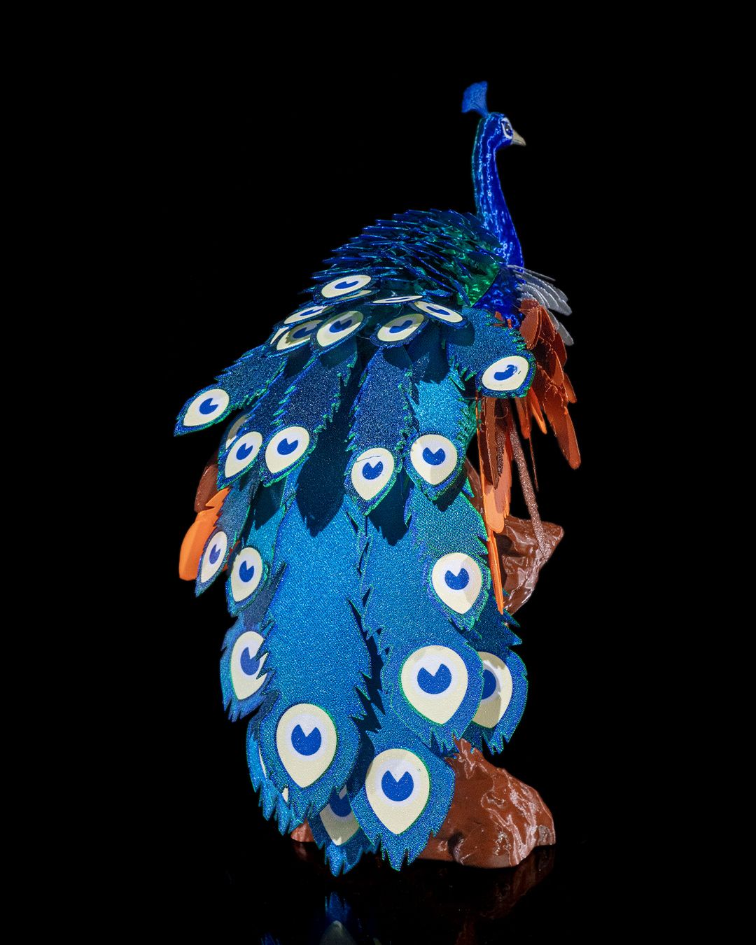 Mayura_the_Peafowl