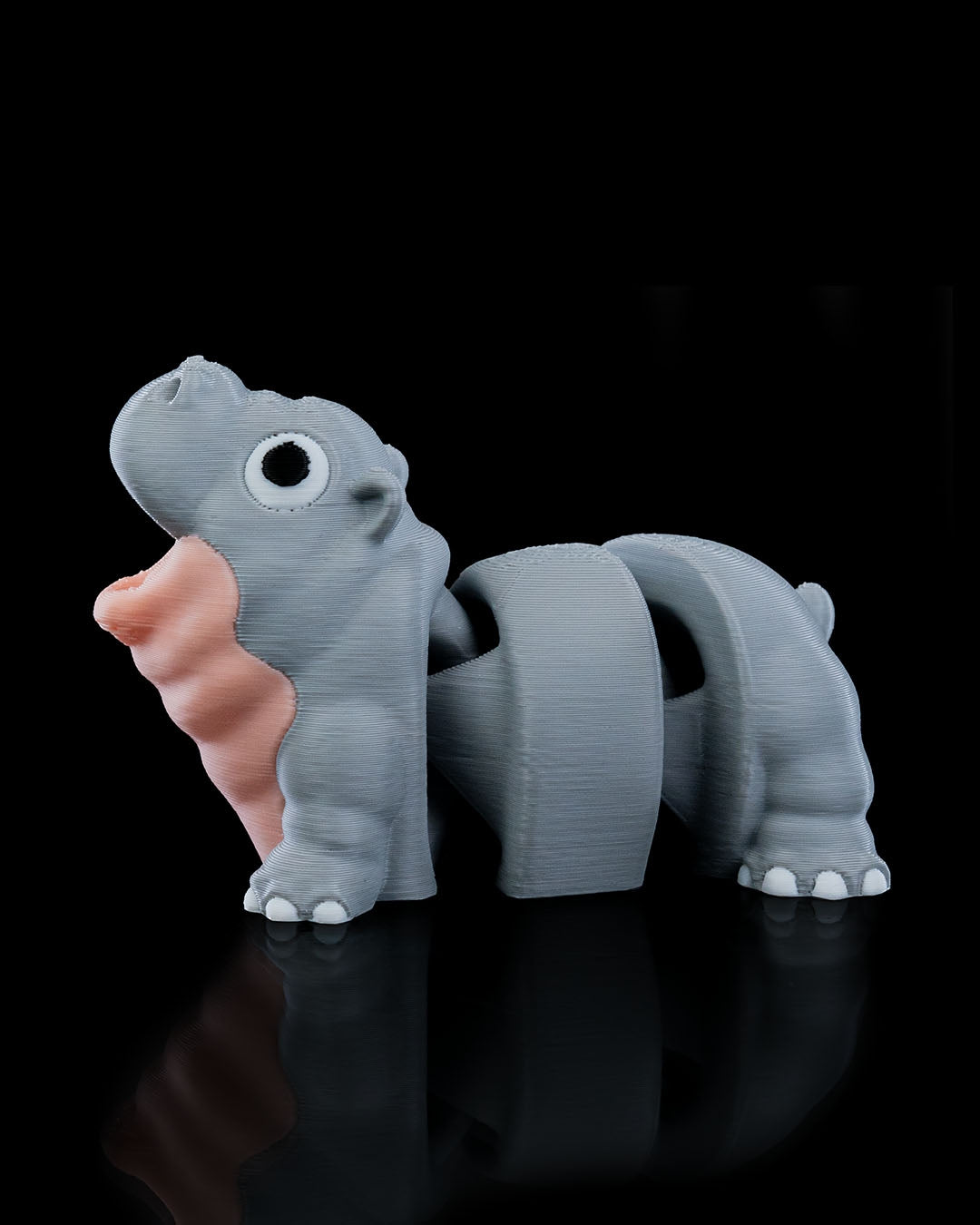 Merry Baby Hippo