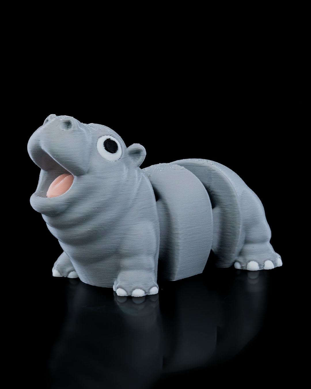Merry Baby Hippo