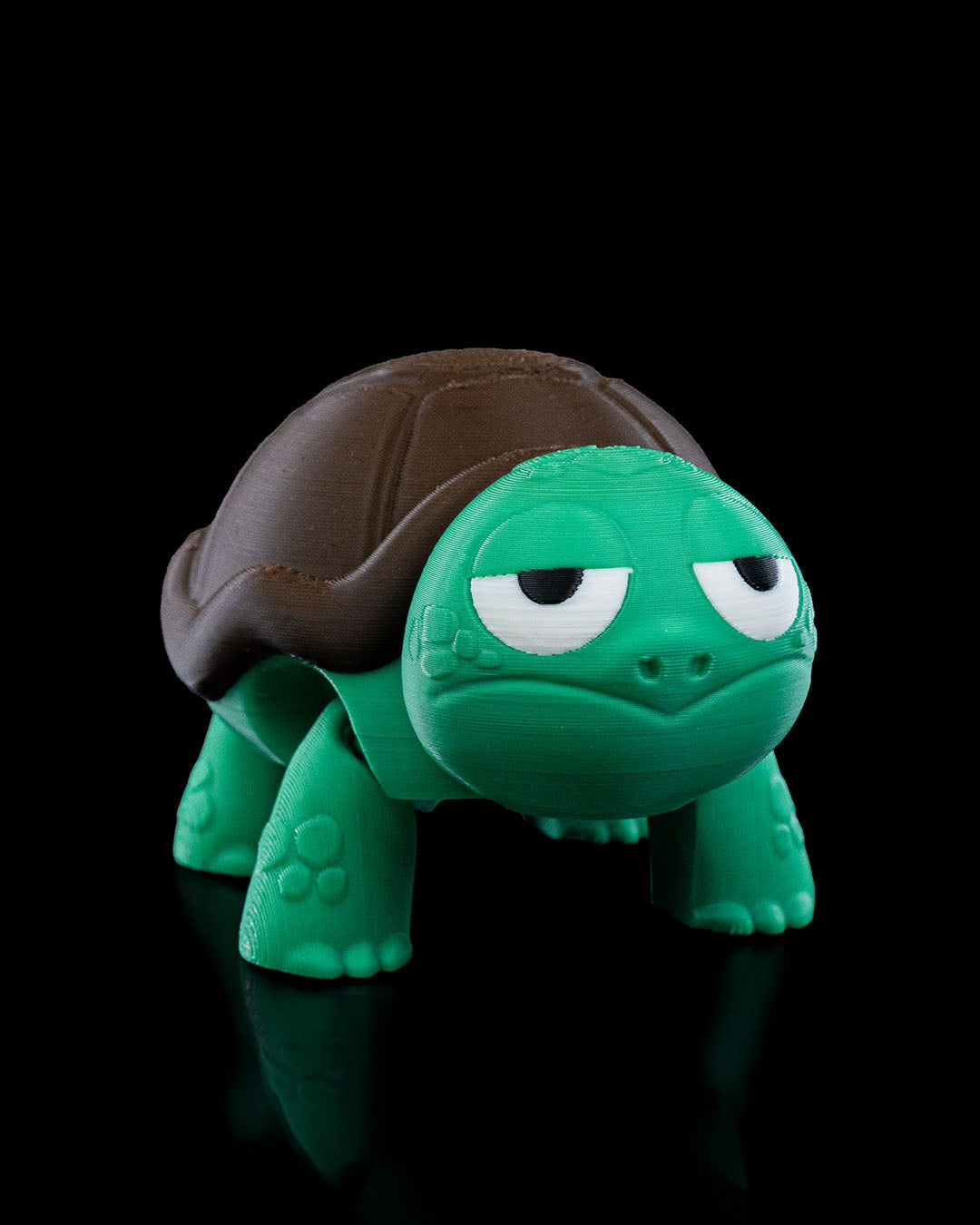 Turtle