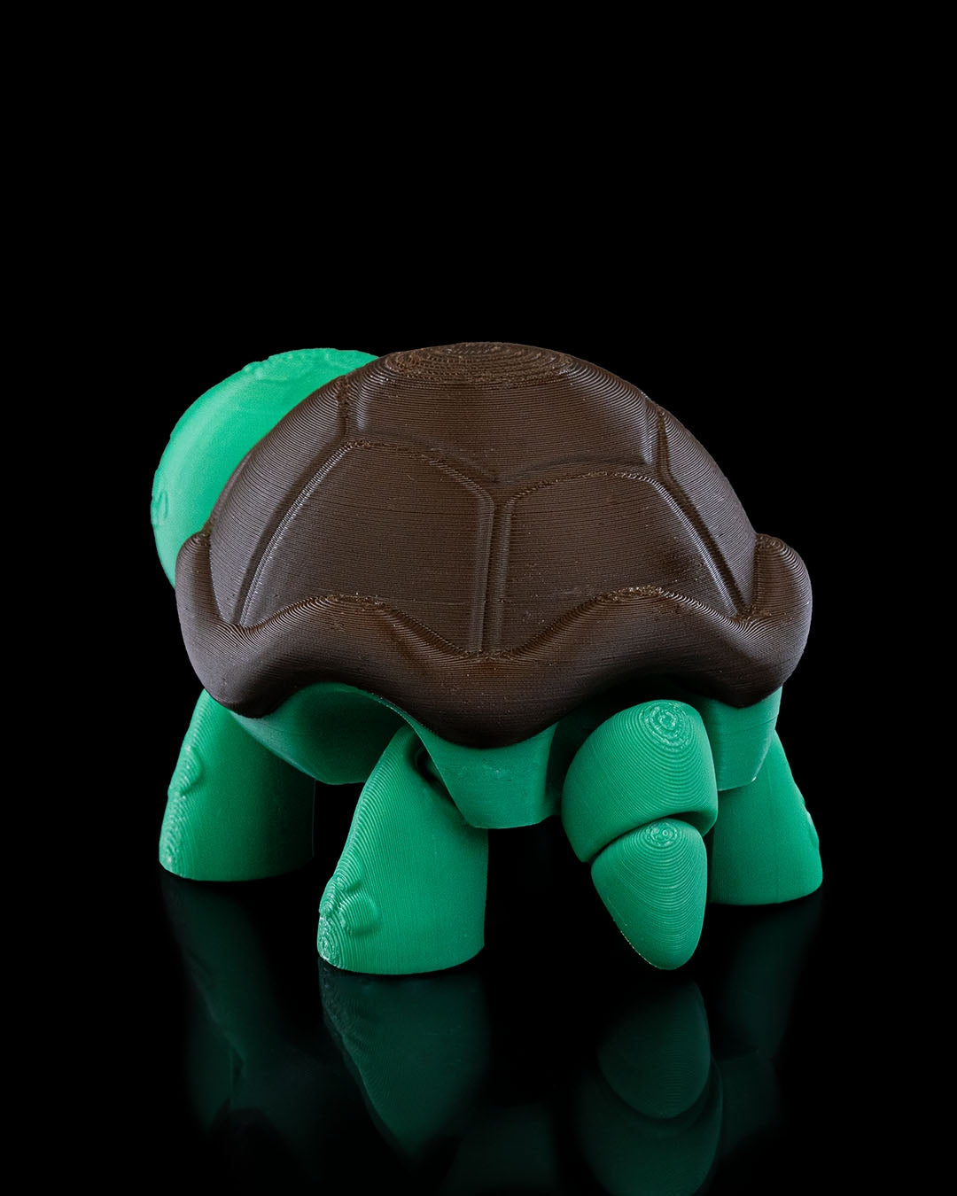 Turtle