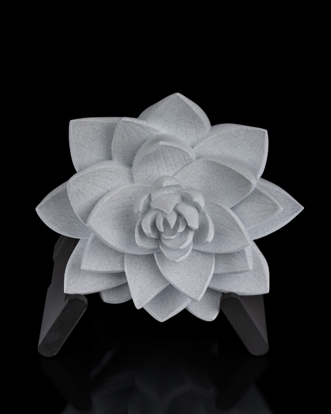 The lotus wall light