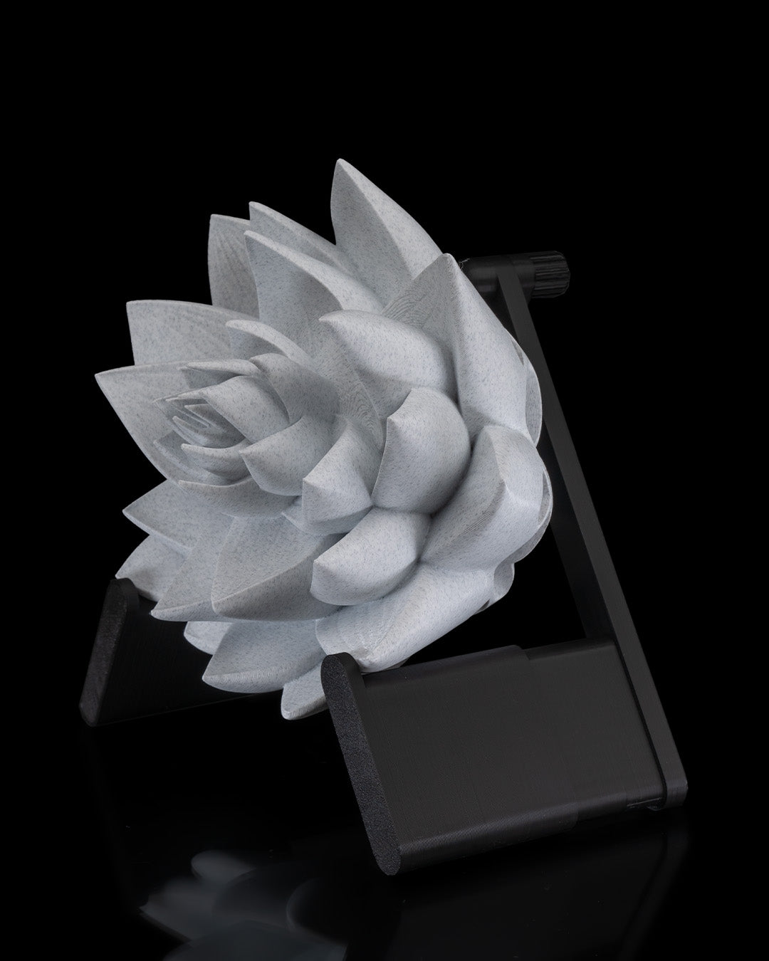 The lotus wall light