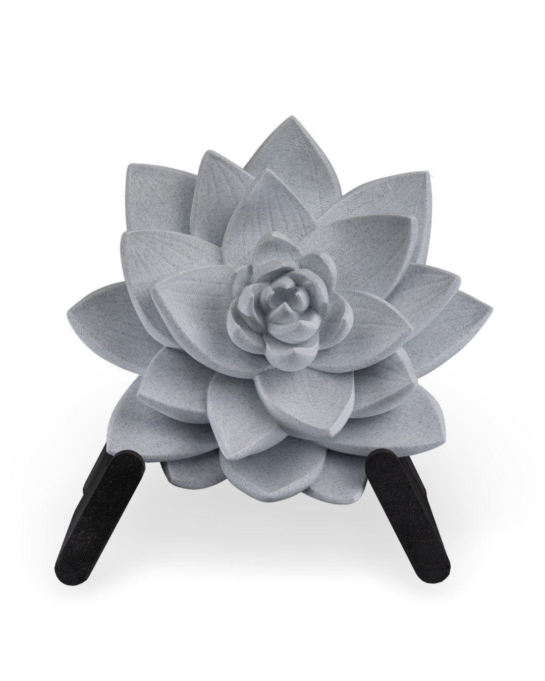 The lotus wall light