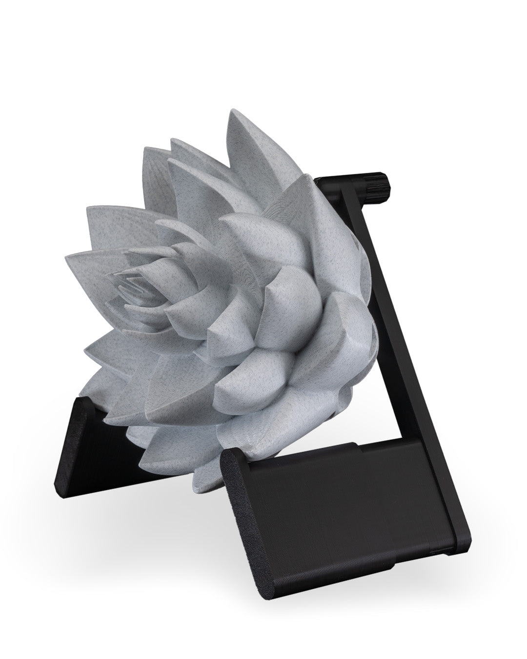 The lotus wall light