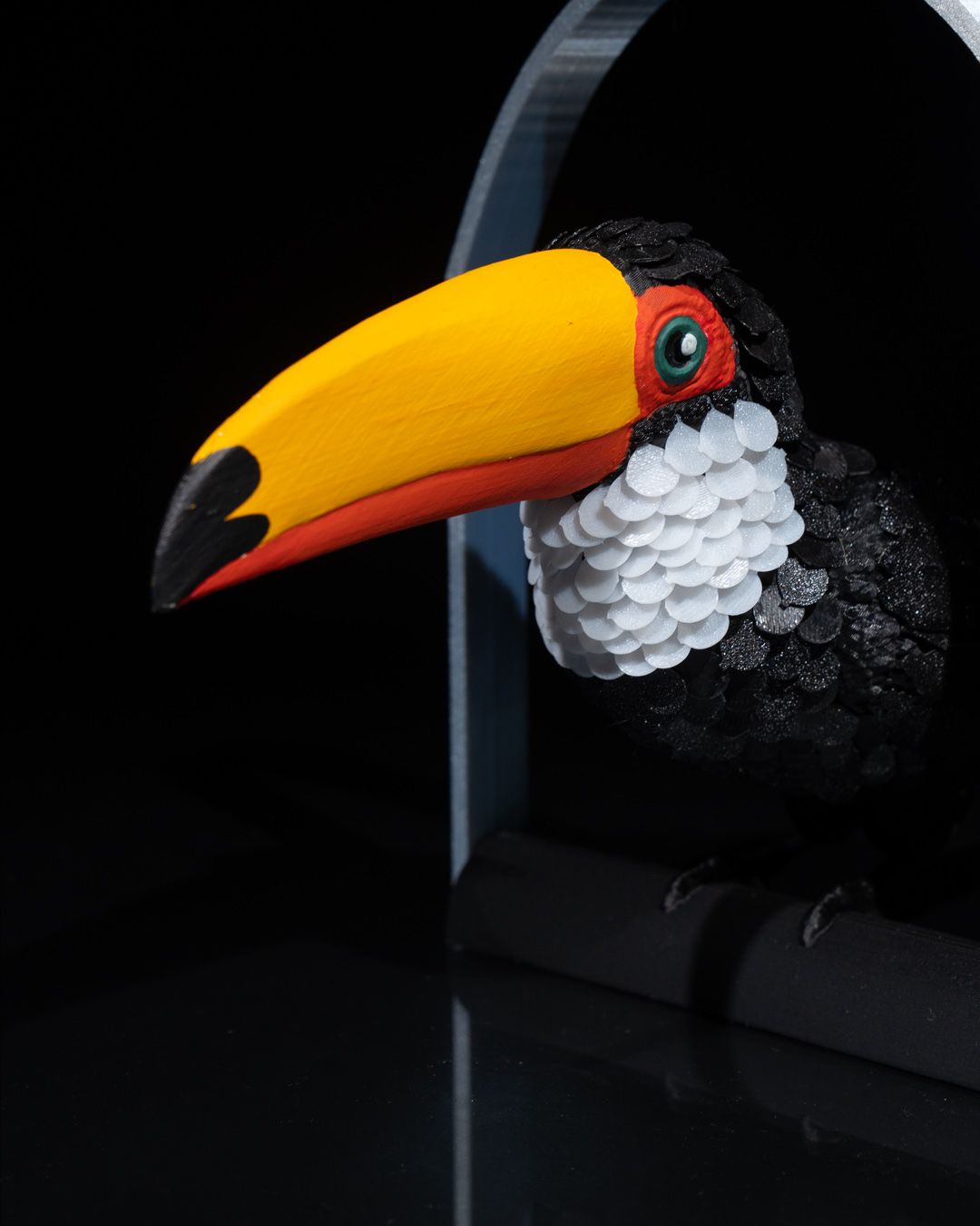 Toucan puzzle