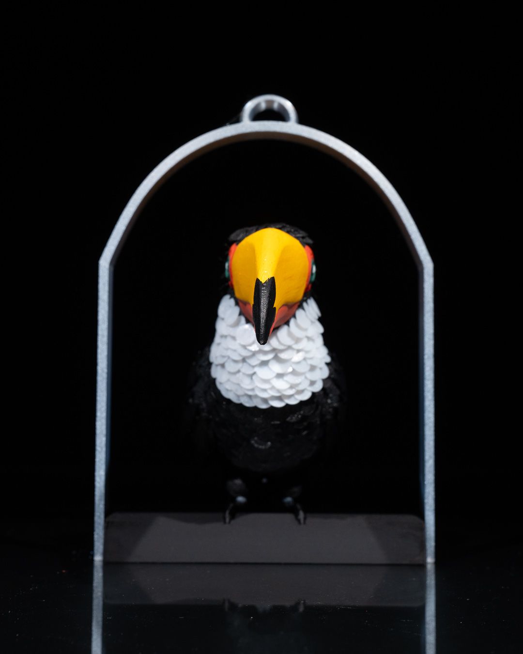 Toucan puzzle